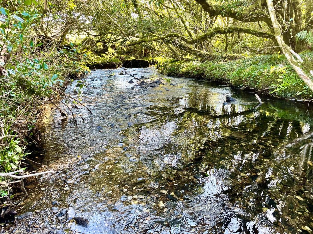 הוילה בנטרי Stepping Stones Glamping 'The Olive' מראה חיצוני תמונה