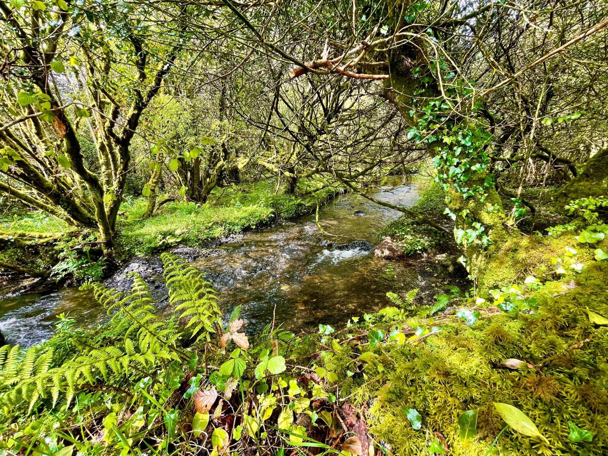 הוילה בנטרי Stepping Stones Glamping 'The Olive' מראה חיצוני תמונה